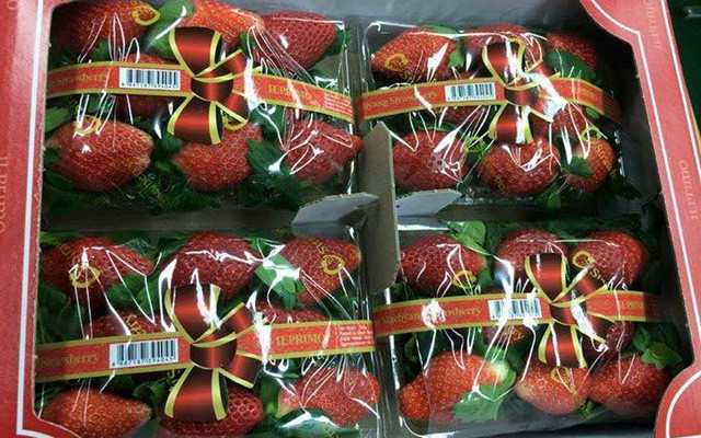 CHI TIỀN TRIỆU ĂN KG TRÁI CÂY NGOẠI