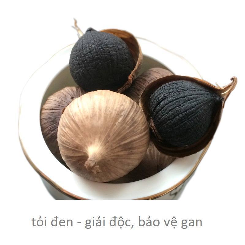TỎI ĐEN LÀ GÌ?