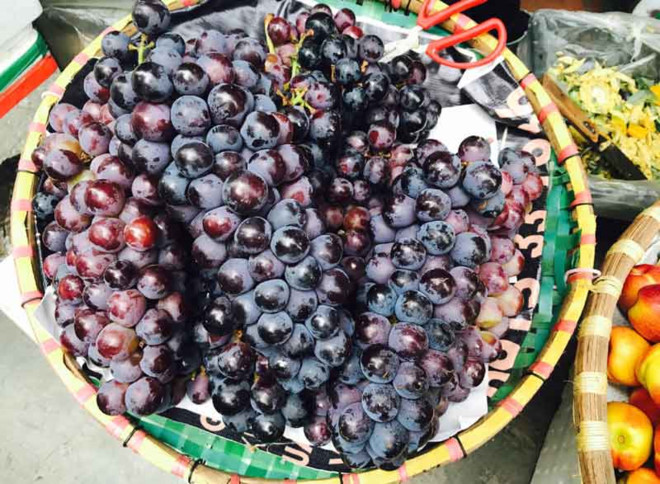 Tưởng nho Ninh Thuận xịn, ai ngờ vớ phải nho Tàu